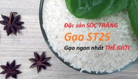 Tìm hiểu về gạo st25 - Gạo ngon, giá tốt